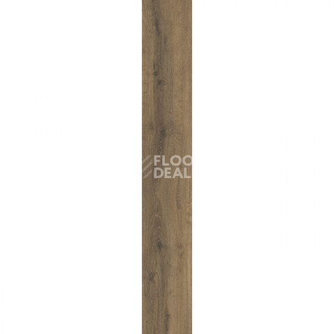 Moduleo LayRed планка дерево Brio Oak 22877 фото 2 | FLOORDEALER